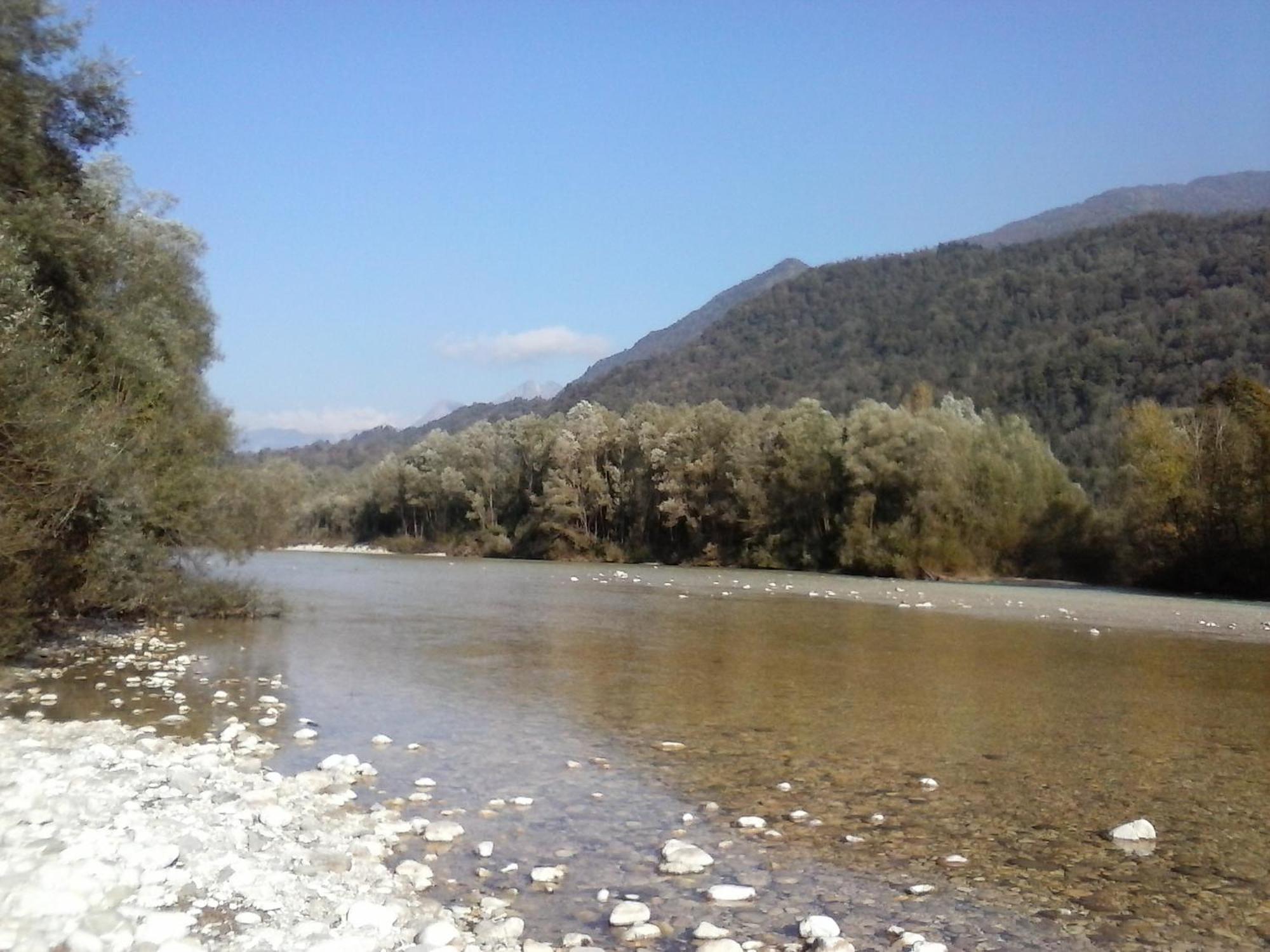Maligoj *