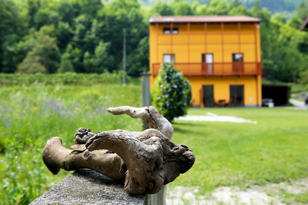 Maligoj Tolmin